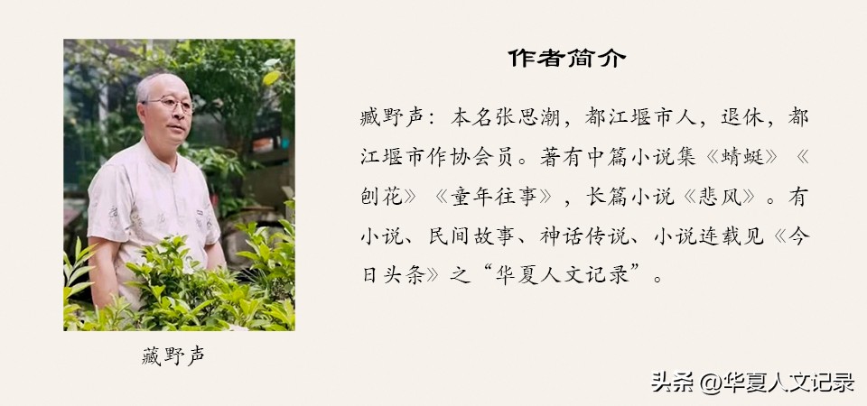 藏野声II清水沟畔刘奶奶（小说连载之二）