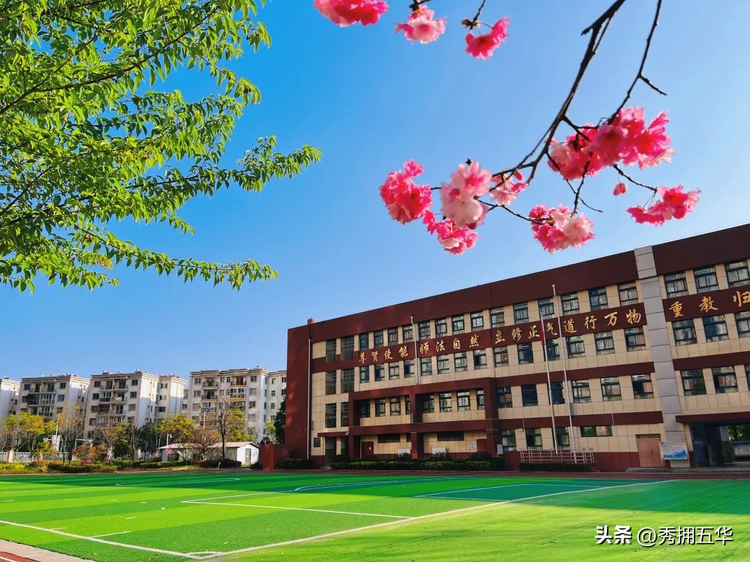 把春天装进校园里作文,把春天装进眼里