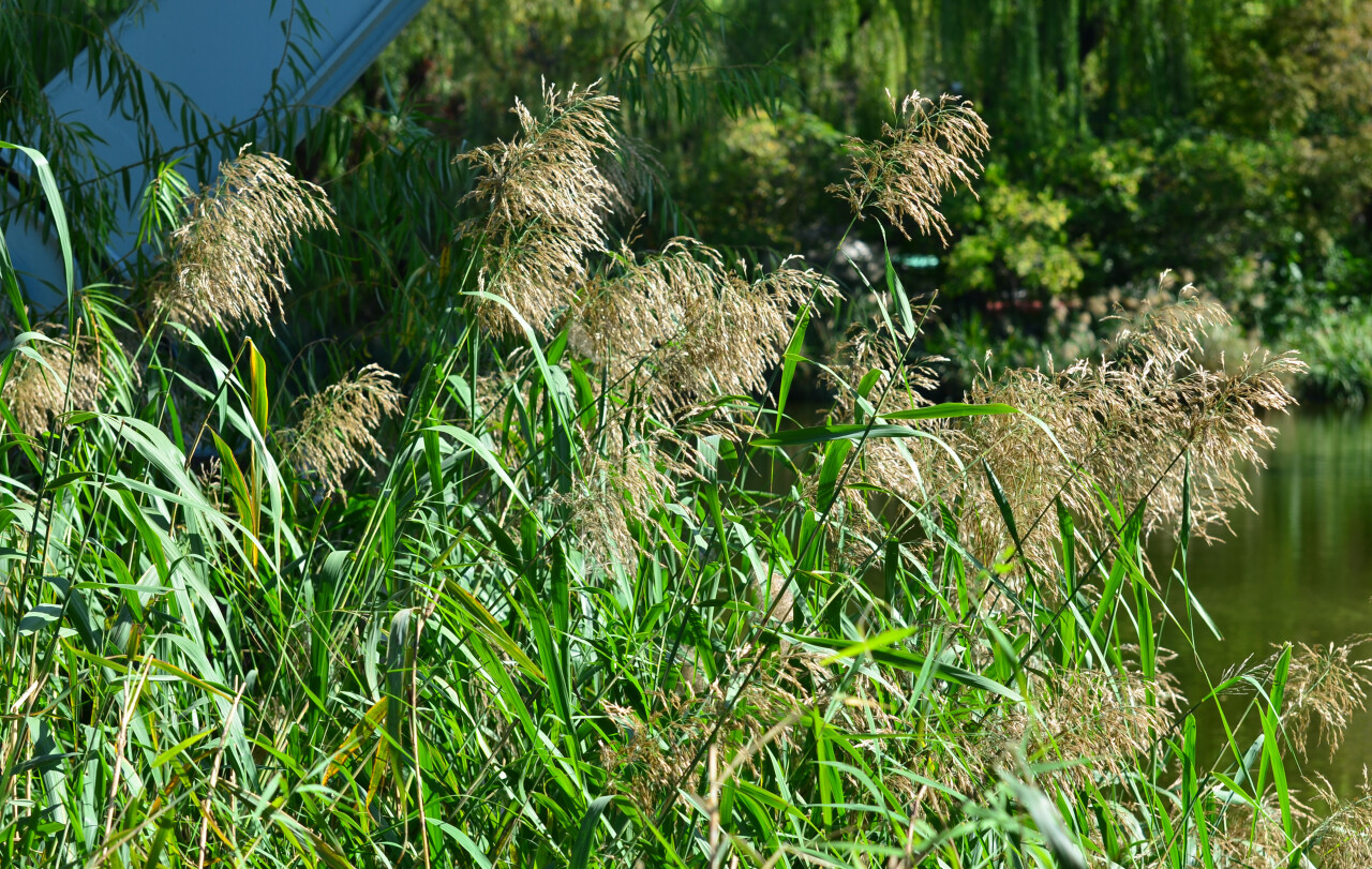 济南赏秋,秋天济南去哪里赏秋最好