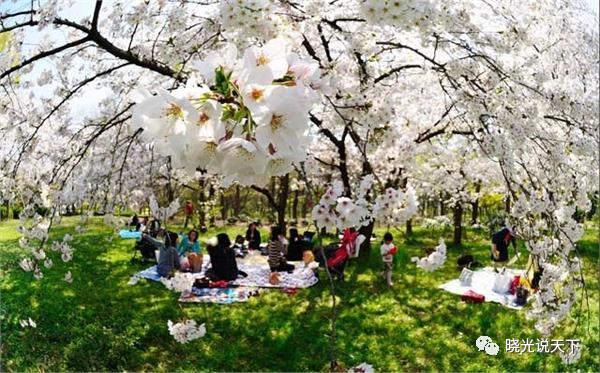 中日文化交流史导论,中日文化交流史视频