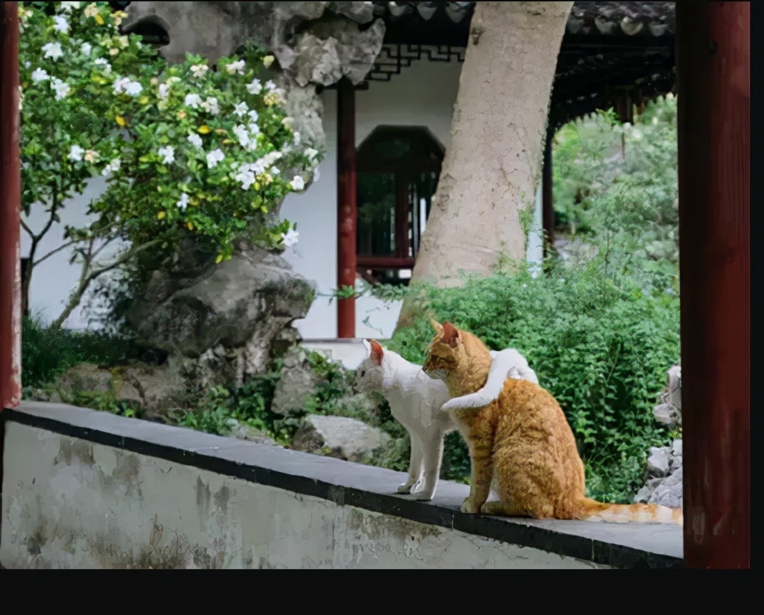 苏州最牛地级市视频,苏州为什么被称为中国最强地级市