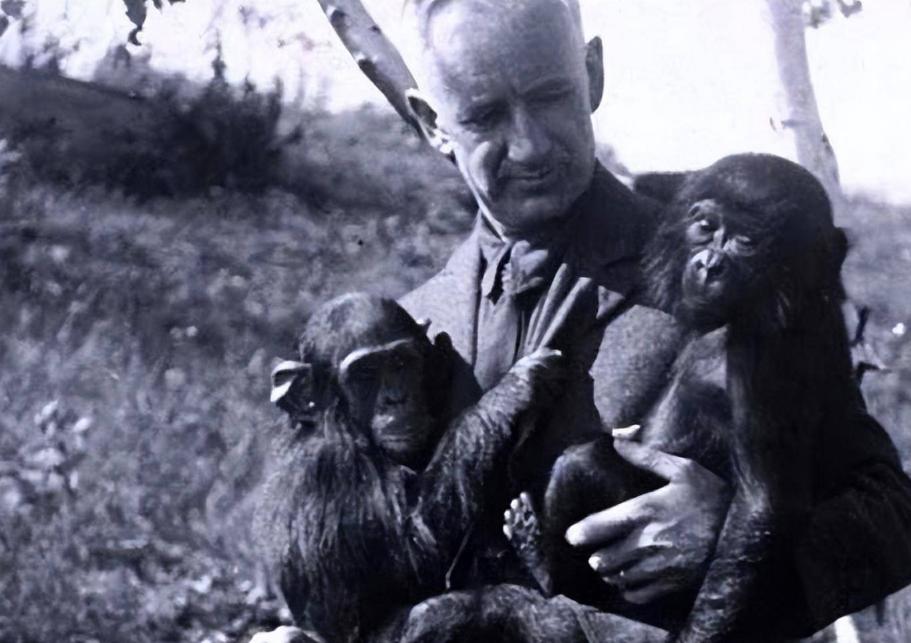 为什么日本人要杂交胚胎实验,日本人的杂交实验成功了吗