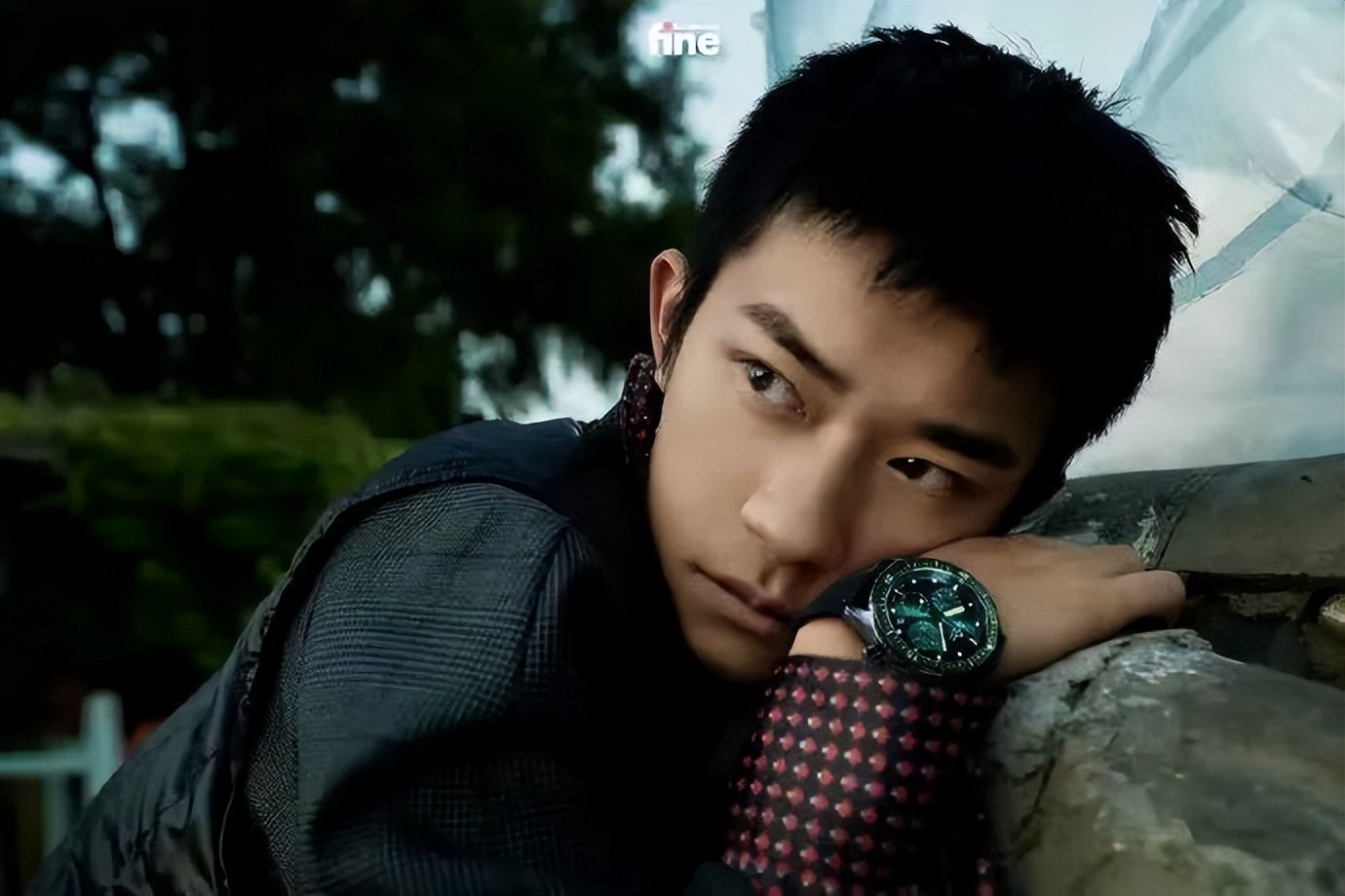 绿表为什么流行,为什么戴小绿表