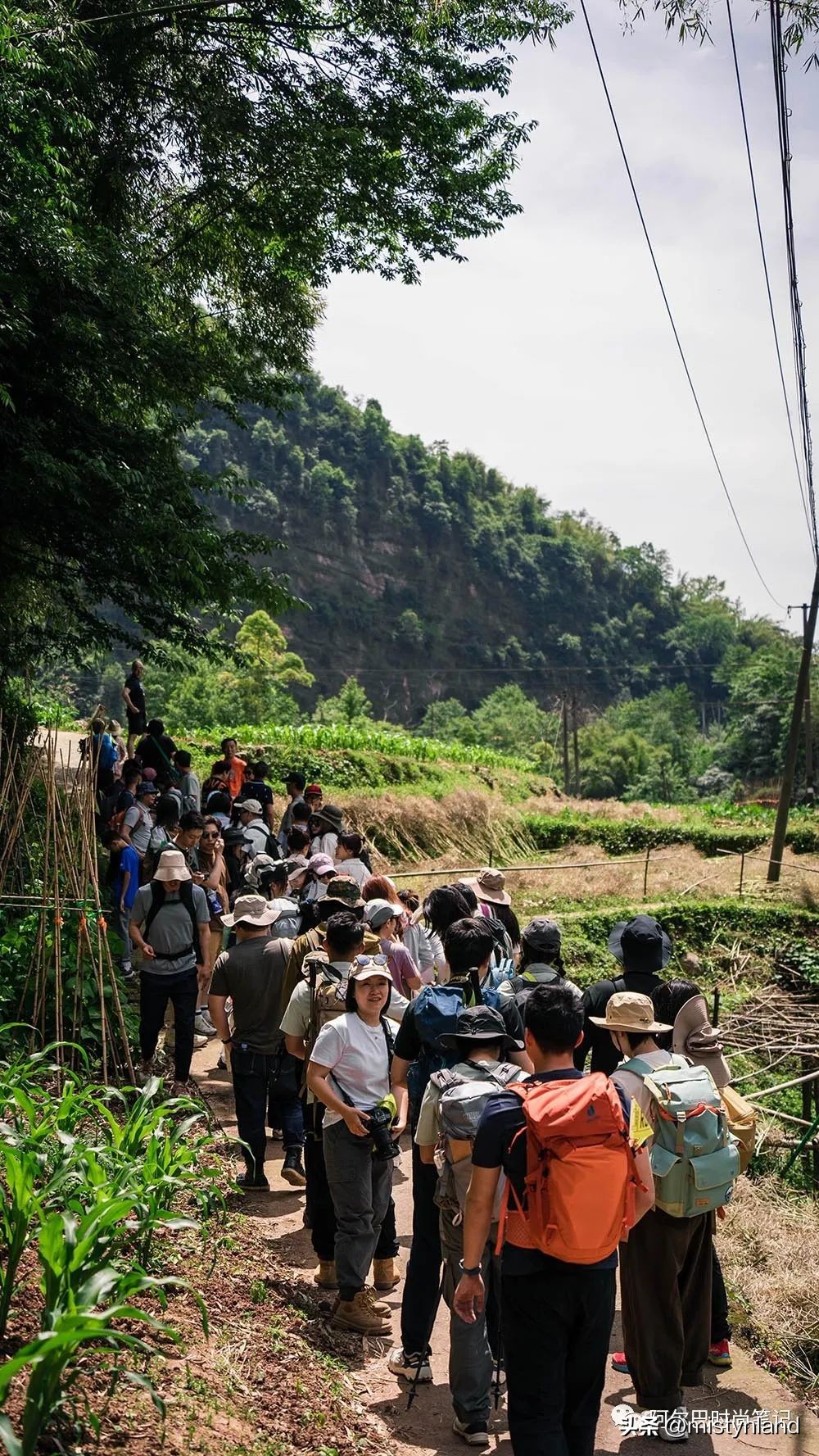 KOLONSPORT可隆,如何以一场山林徒步开启成都市场?