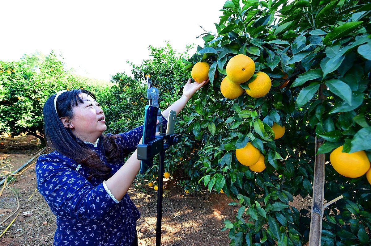 最美夏至诗让你清凉一夏,十首夏至诗词送你清凉一夏