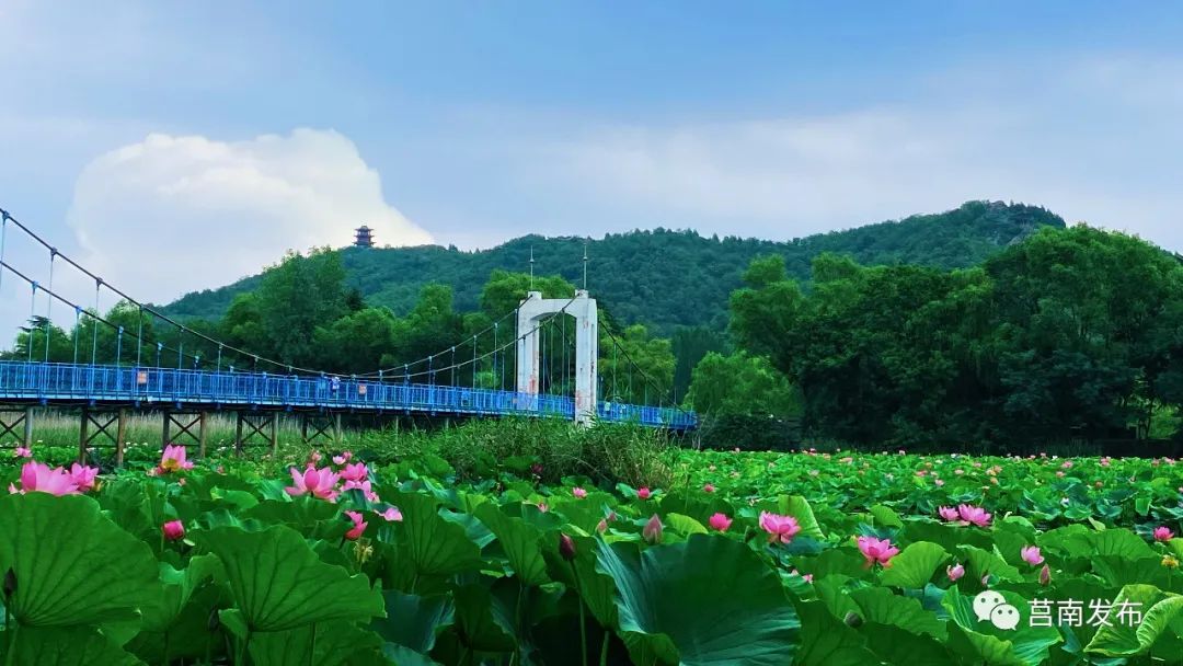 我爱我的家乡莒南,莒南宜居宜业宜游