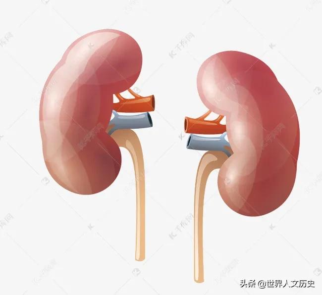 当年瞒着父母卖肾换手机的男孩怎么样了？获赔百万，现状令人担忧