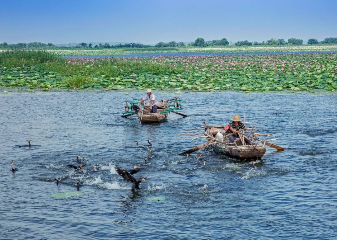 谁不说俺家乡好山东农民,谁不说俺家乡好山东大合唱视频
