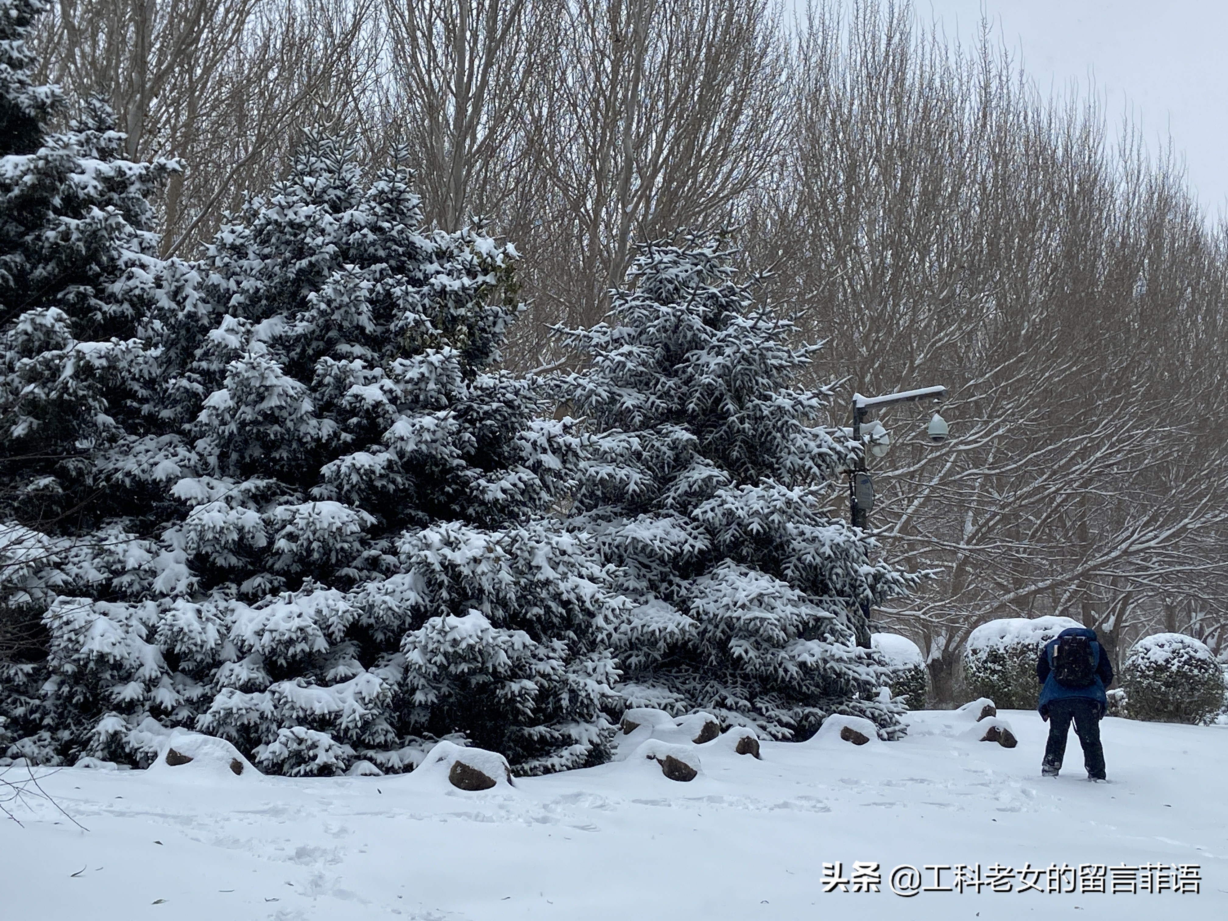 沈阳大雪压塌停车场,沈阳大雪堆雪人