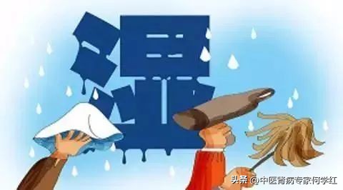 补肾降尿蛋白的中药有哪些,降尿蛋白中药方剂