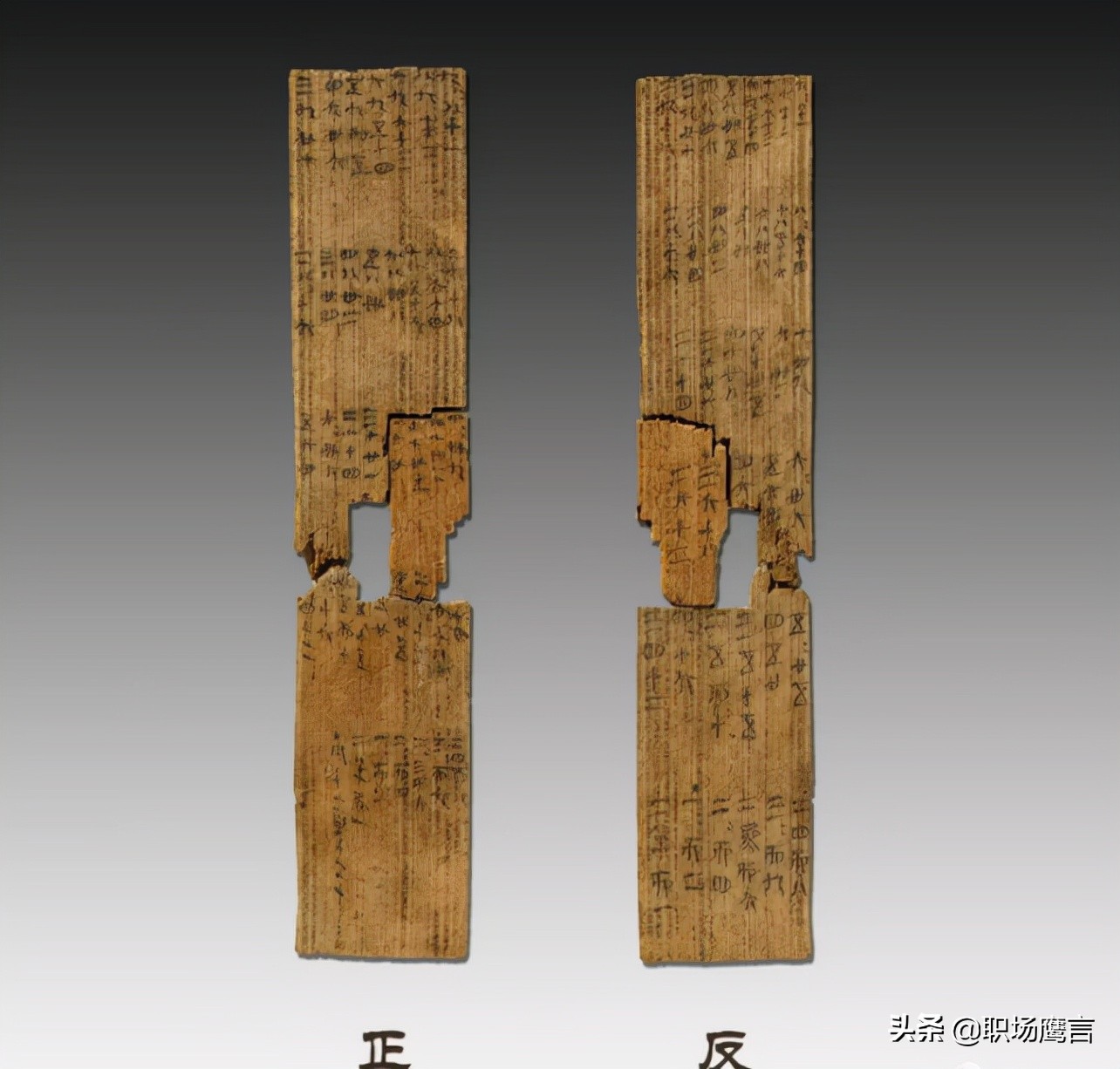 参观秦始皇兵马俑后感,参观兵马俑让1000多名游客震惊