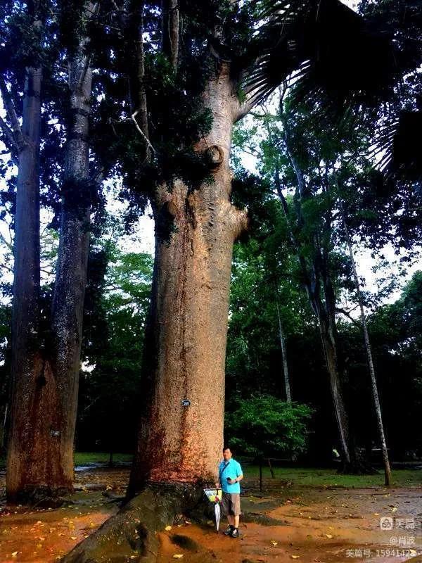 你所不知道的斯里兰卡,你不知道的斯里兰卡冷知识