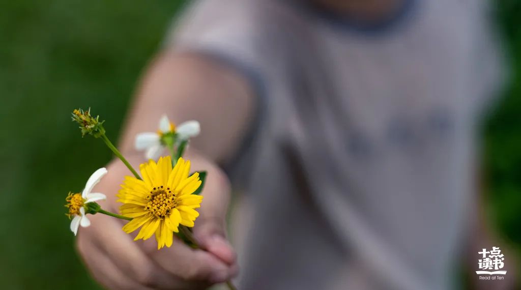 读懂余华第七天,看完余华的活着接下来看啥