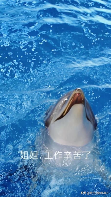 海豚皮仿生面膜广告吐槽,海豚皮仿生面膜广告被投诉