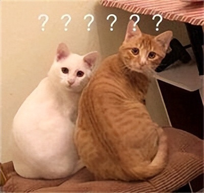 雅盛装饰装修,雅盛装饰实景案例