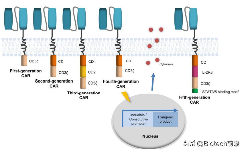 car-t细胞疗法一针下去癌细胞清零,中国首个cart细胞疗法获批