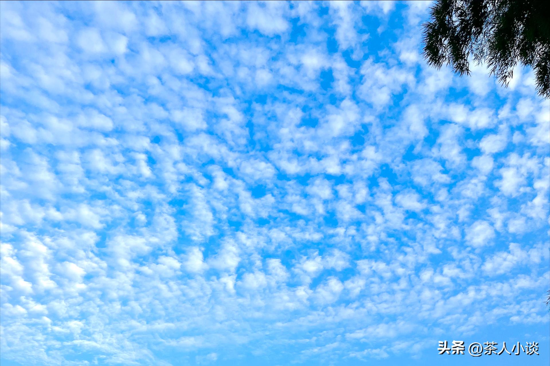 天上鲤鱼斑后面是什么,天上鲤鱼斑