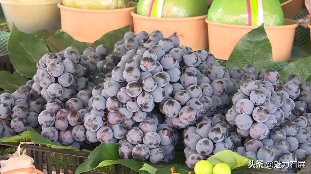 什么水果是你夏天的最爱,夏日果缤纷