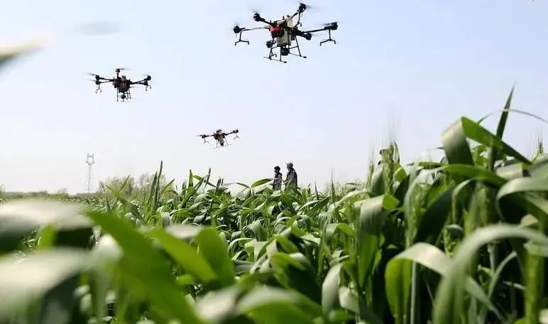 农业产业周报｜拼多多、诺普信、三全食品、极飞、富邦最新动态