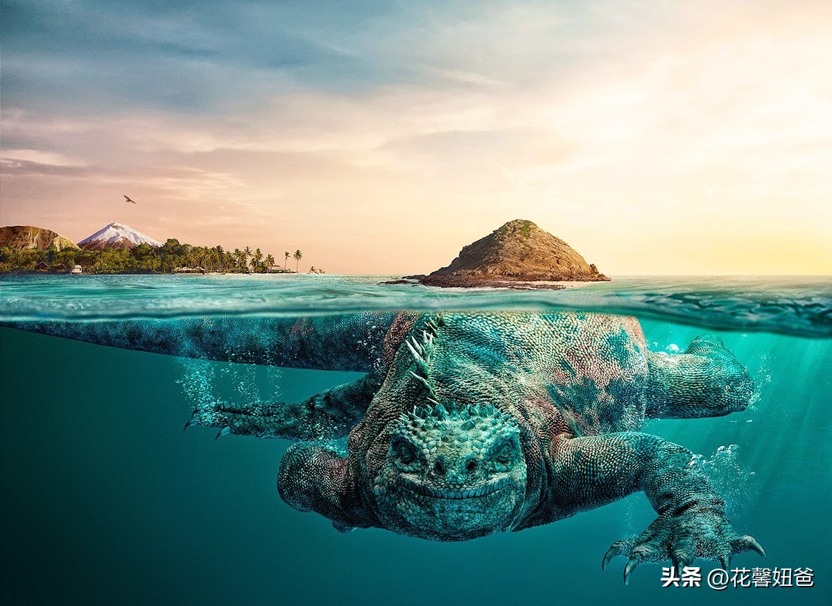 卡塔尔世界杯厄瓜多尔,卡塔尔厄瓜多尔赛事讲解