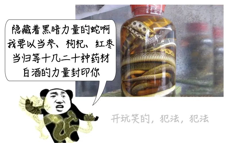 深圳乘车码健康码二合一,深圳公交车乘车码扫码演示