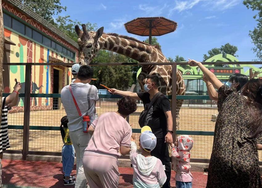平安社区端午节活动,确保全市居民度过安稳祥和的节日