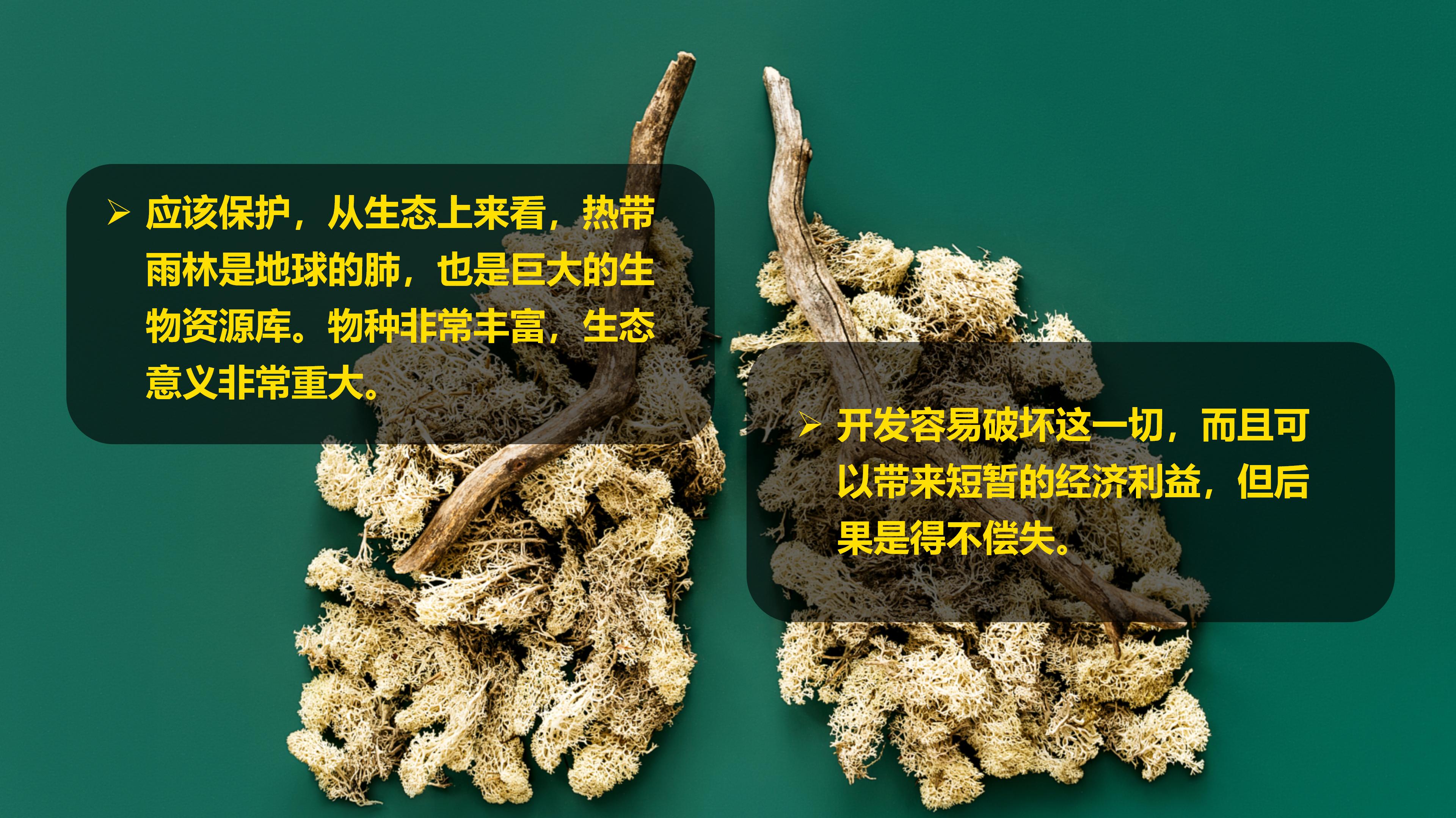 初中地理巴西知识点思维导图,七年级下册地理巴西教案人教版