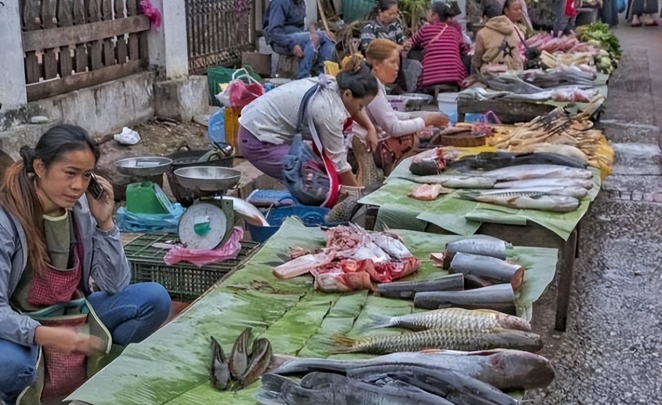实拍老挝动物市场,老挝珍稀动物交易市场