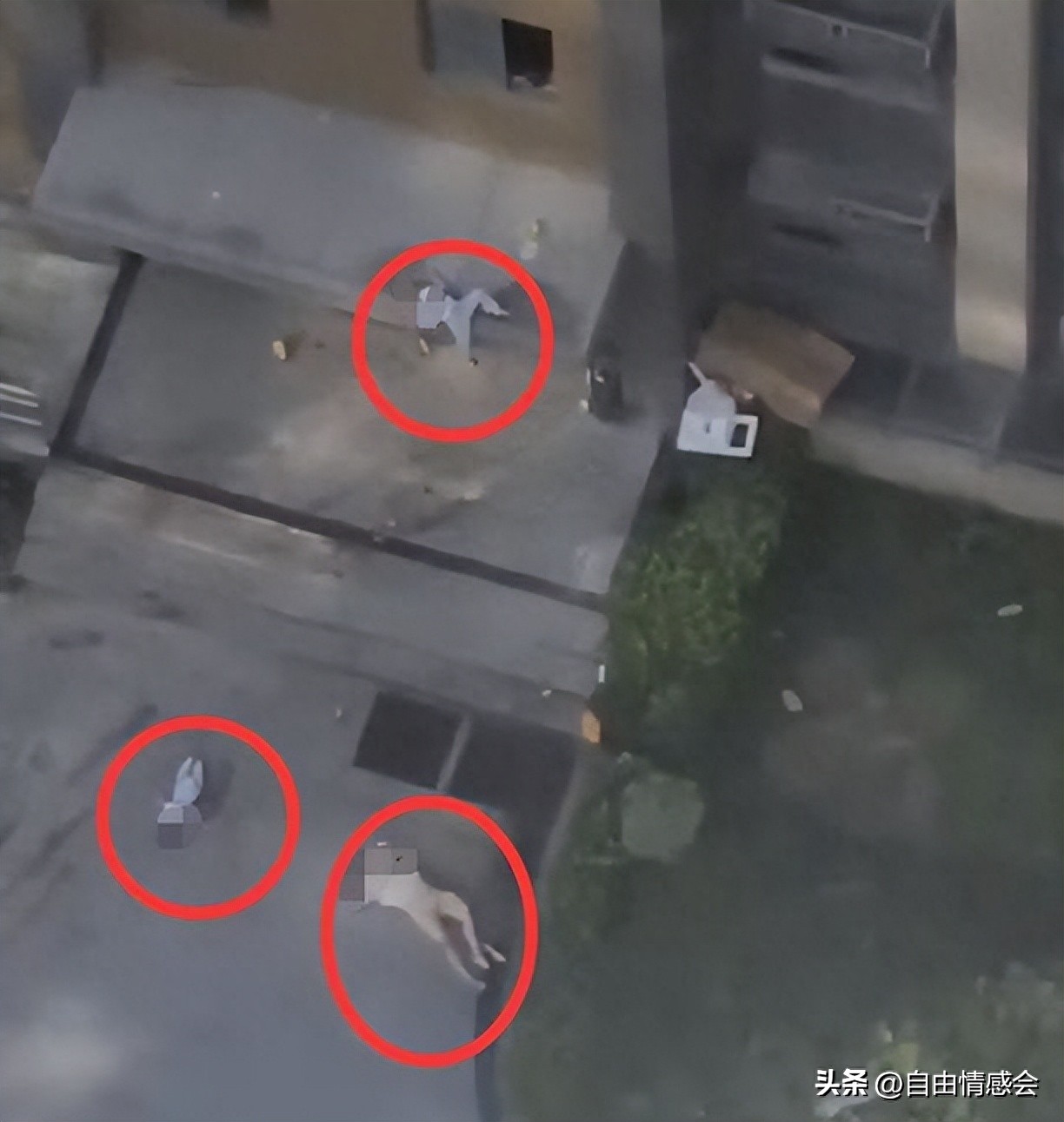 青岛山河城女子坠楼事件后续,青岛城阳星河城坠楼事件