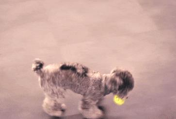 sm艺人对aespa演唱会评价,sm被排挤的艺人