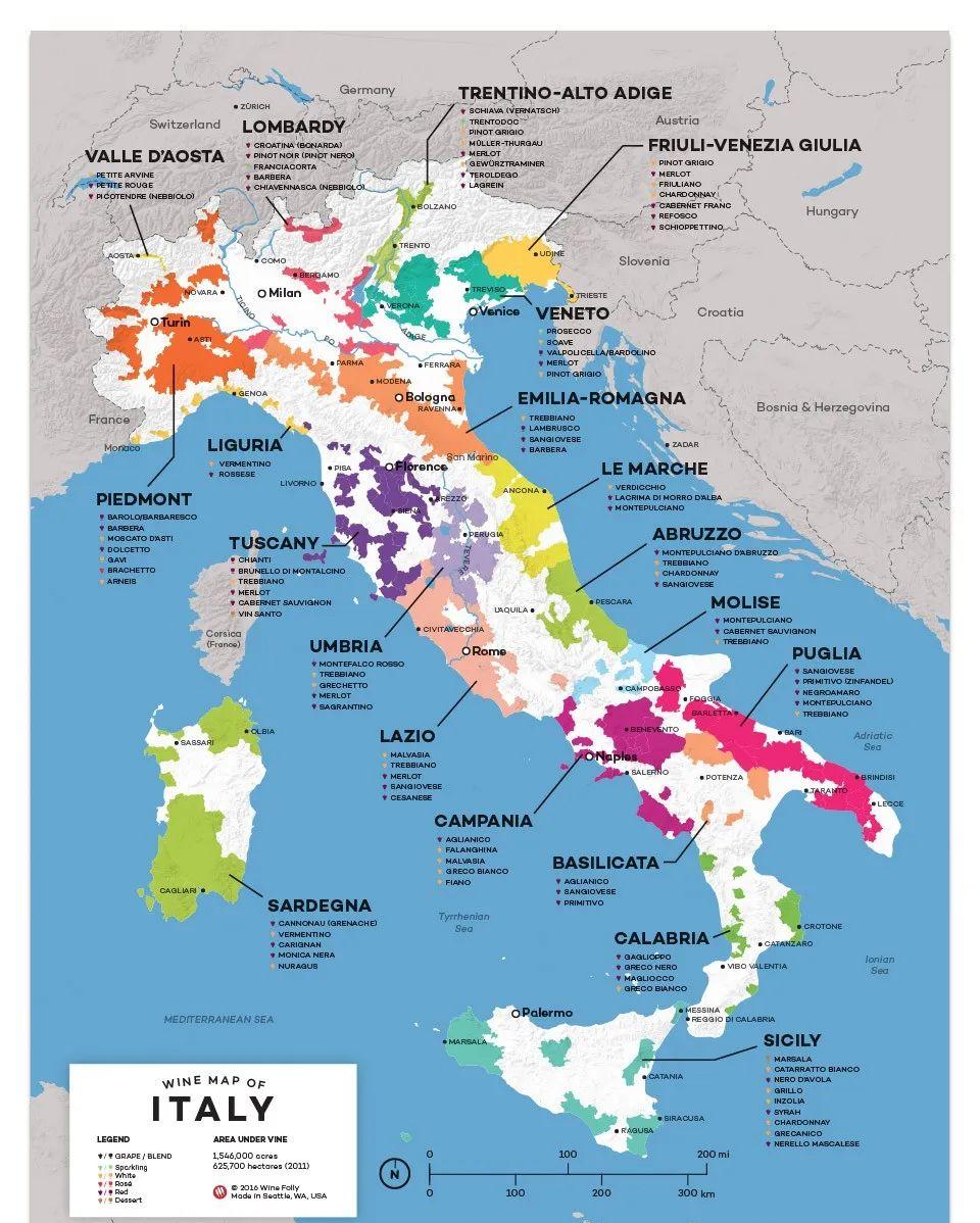 想知道最详细的意大利葡萄酒知识,你要知道的意大利葡萄酒基础知识