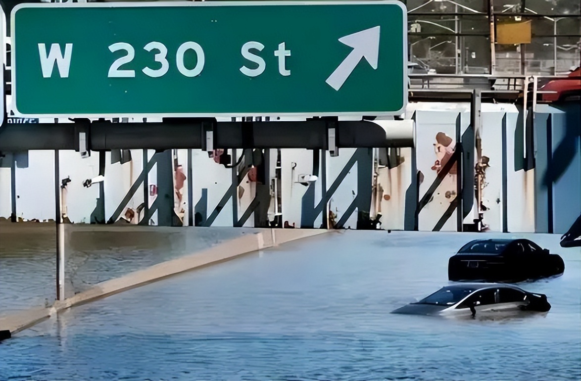 00年武汉设计院院长非要移民美国，沦落到捡垃圾，结果惨死地下室