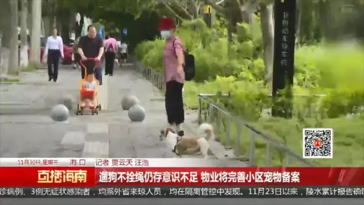 路人遇女子遛狗不拴绳直接报警,女子遛狗不拴绳吓到路人