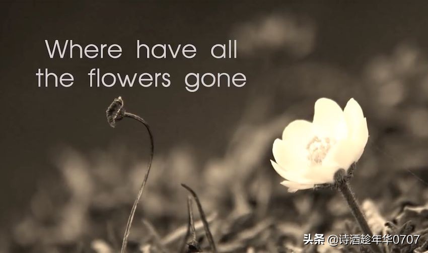 十首难以超越的闽南歌曲,经典欧美乡村民谣50首