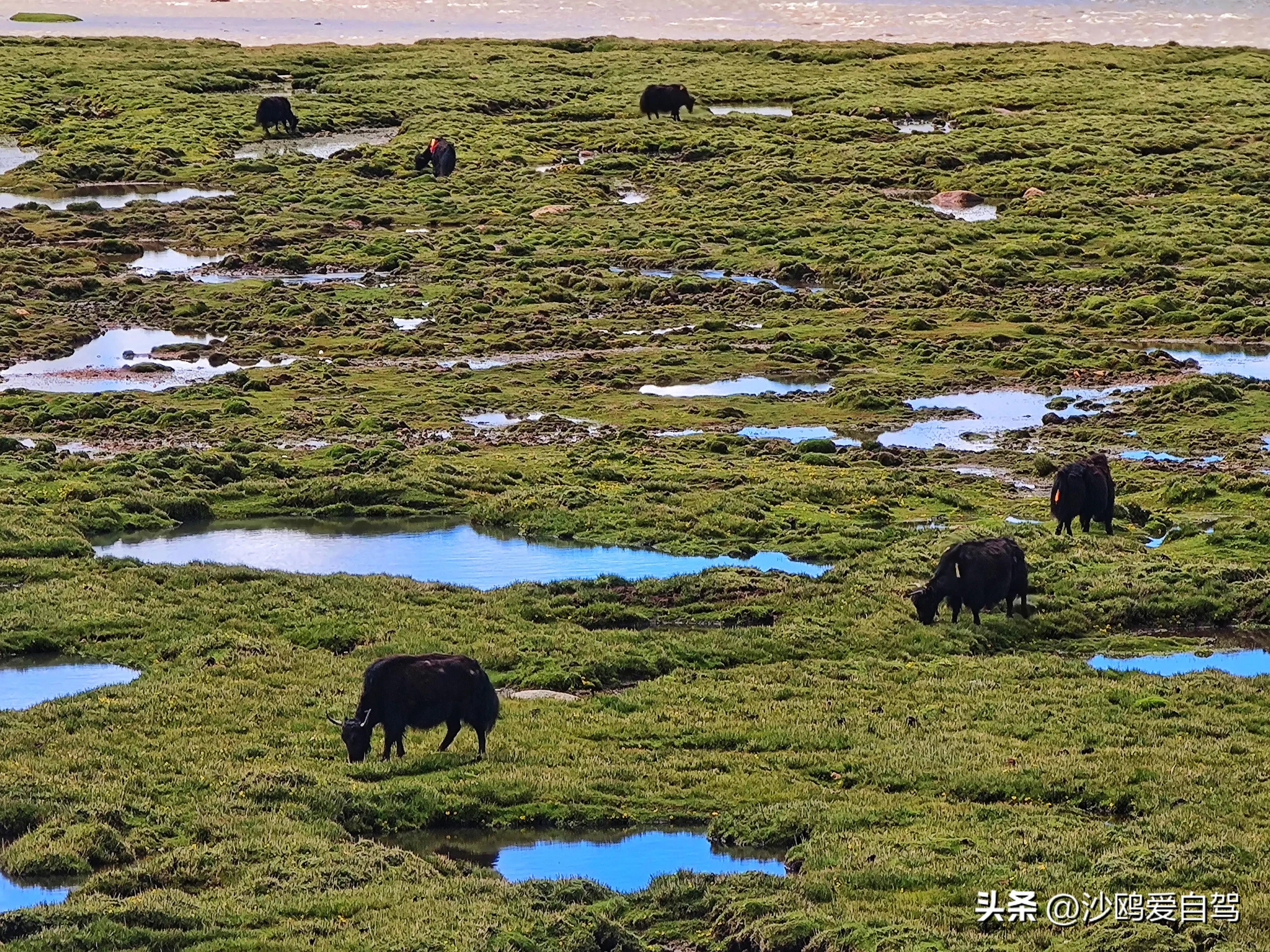 西藏自驾游三大圣湖,自驾西藏行摄之旅米堆冰川