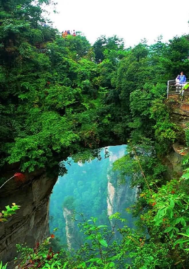 仙境张家界惊艳全世界,张家界的峰林峡谷仙境