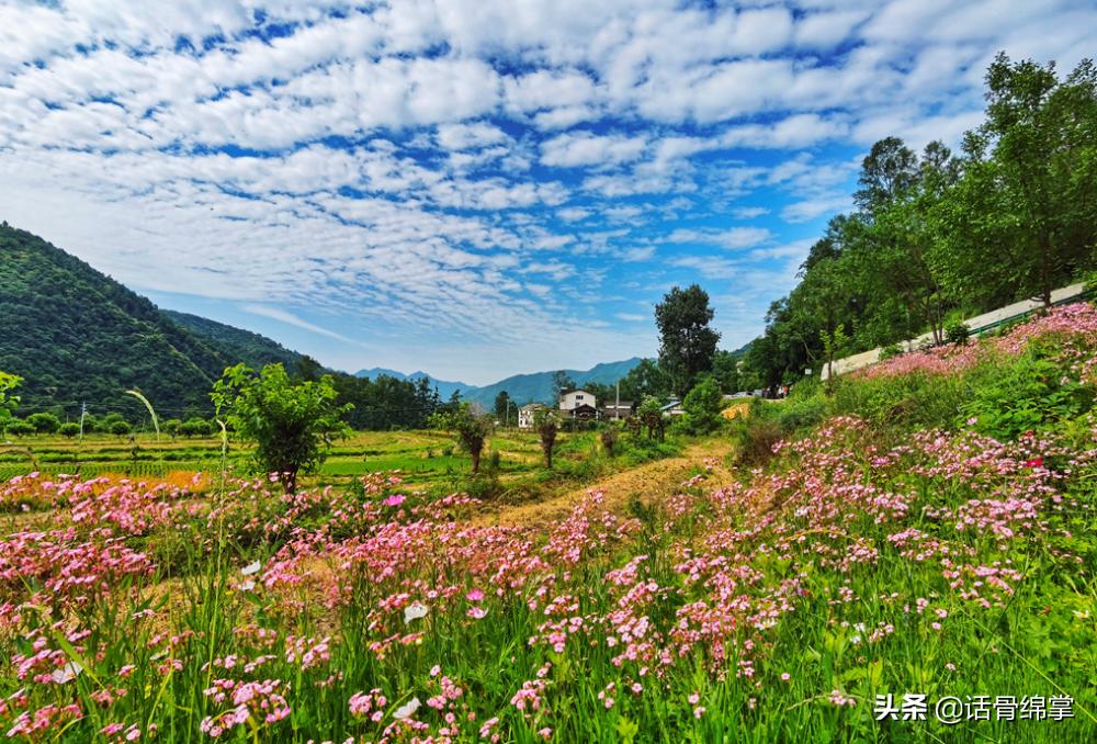 平武旅游最佳打卡地,平武县哪个镇避暑最佳