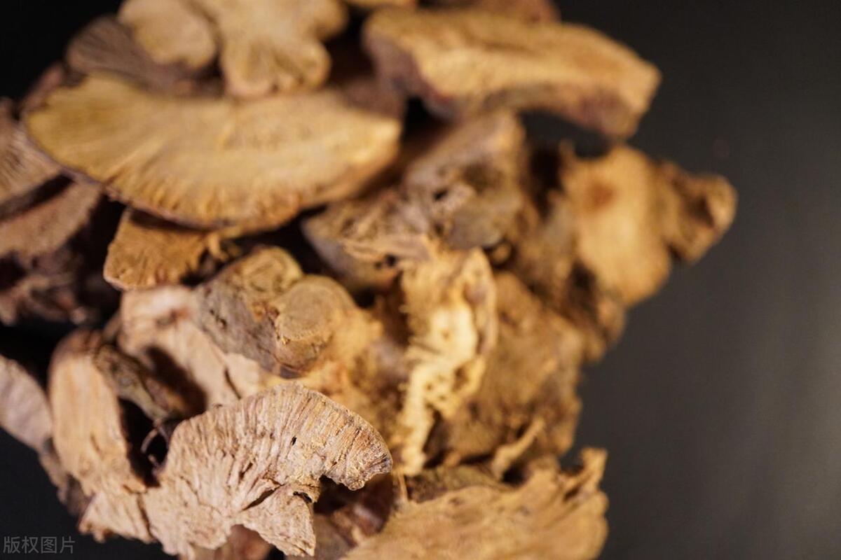 金荞麦是消炎药吗,金荞麦抗癌药