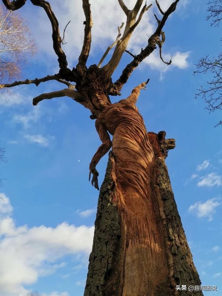 匈牙利妇女的吸乳器,越南女性自卫手套,35张图看世界