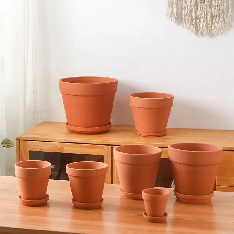 养花用陶瓷盆还是紫砂盆好,塑料盆和陶盆的优缺点