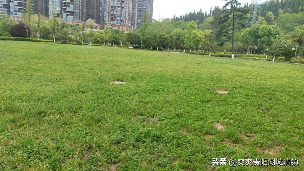 露营活动公园,露营公园需要哪些娱乐设施