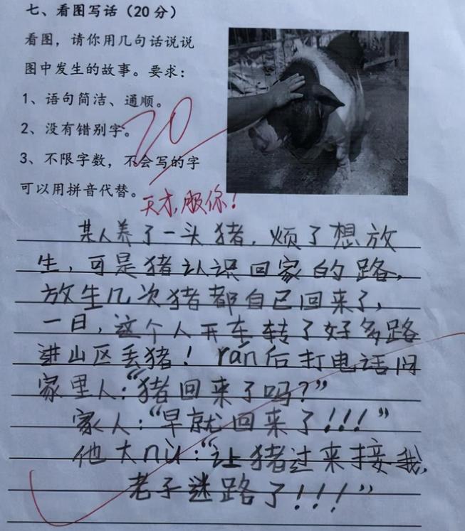 小学生作文没用的爸爸,孩子作文不写爸爸爸爸生气