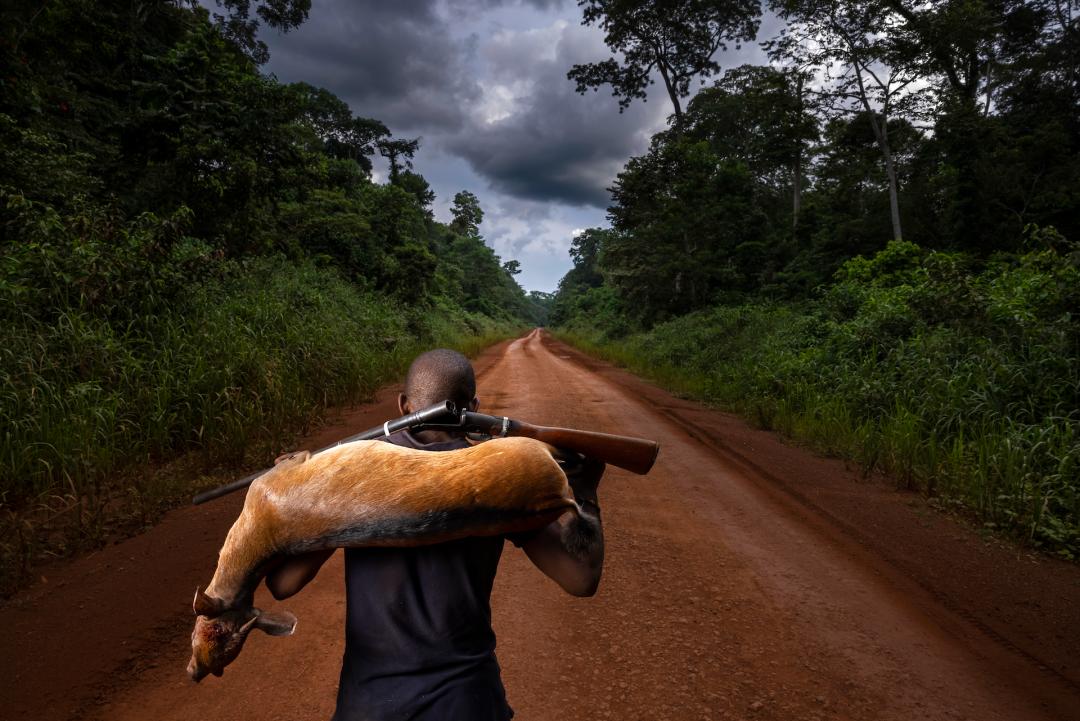 2022索尼摄影大赛征稿,2022索尼世界摄影大赛