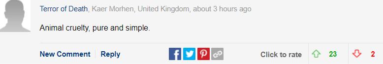 巴哥犬最大的特点,巴哥犬最令人头疼的5大缺点