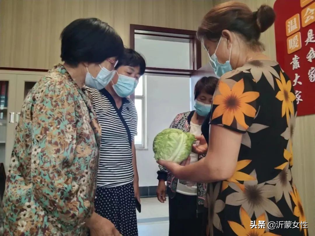 “沂”起学理论·创业创新巾帼行罗庄、沂水、费县、兰陵开展“乡村振兴巾帼行动”沂蒙行志愿服务直通车活动