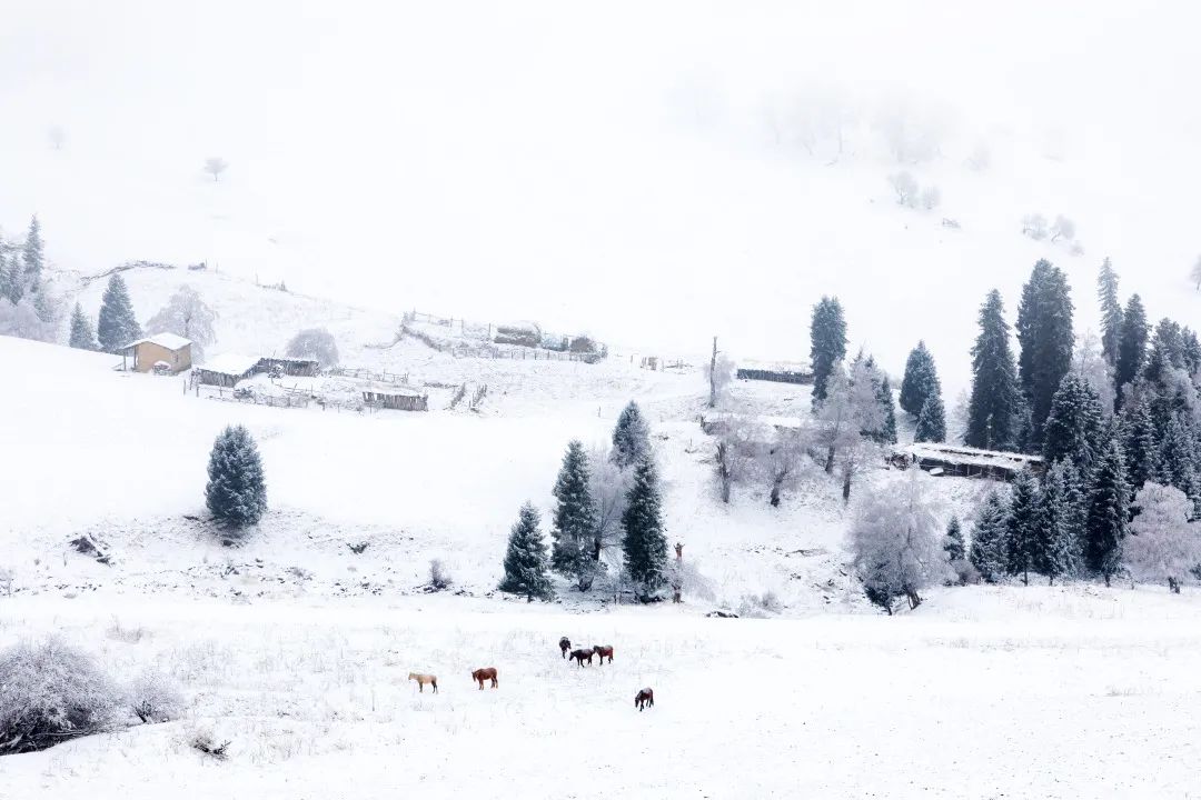 火了！新源又火了！全国瞩目，未来发展不可估量！为你的家乡比心