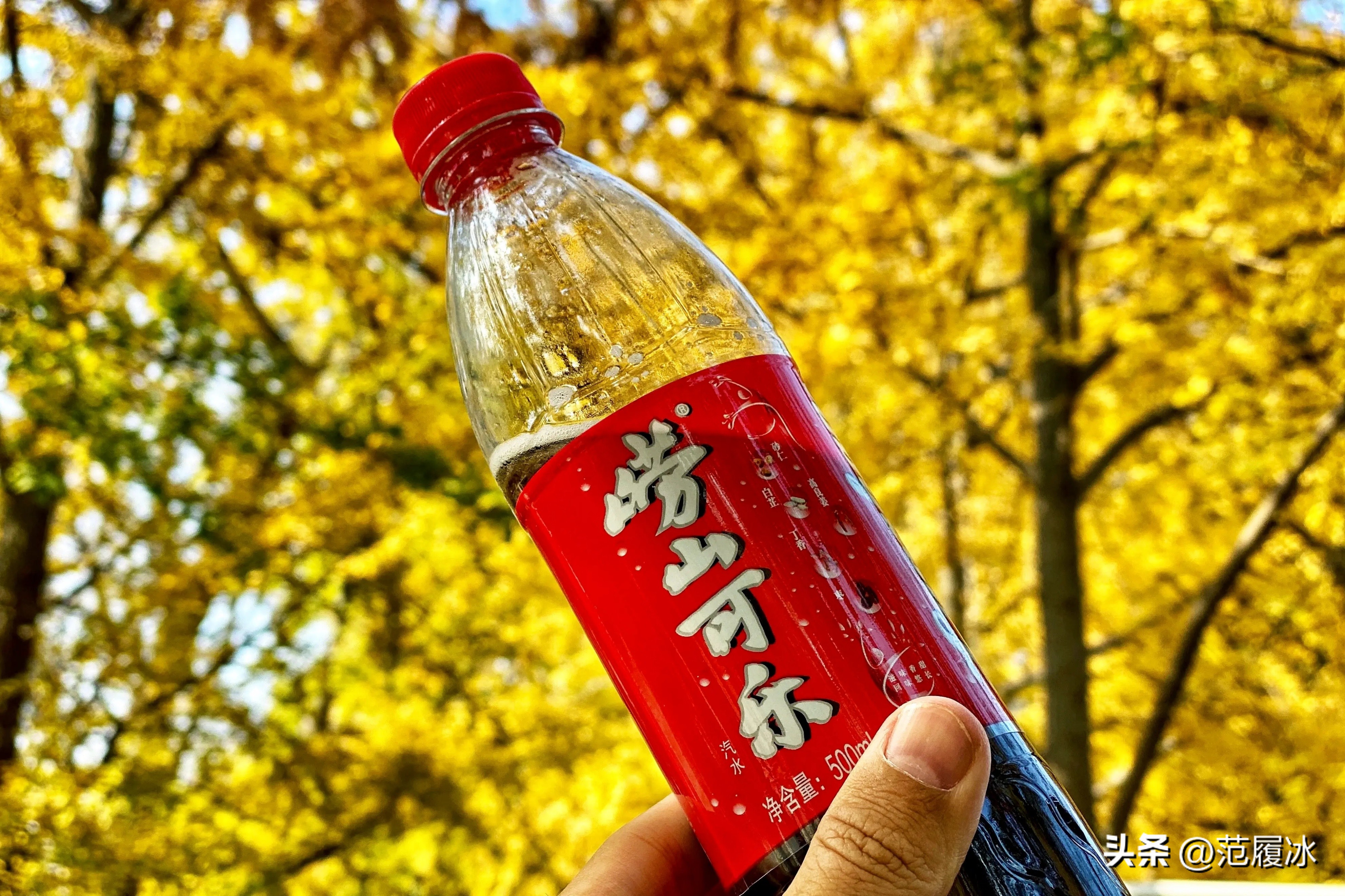 泰山虽云高不如东海崂图片,泰山虽云高不如东海崂全诗鉴赏