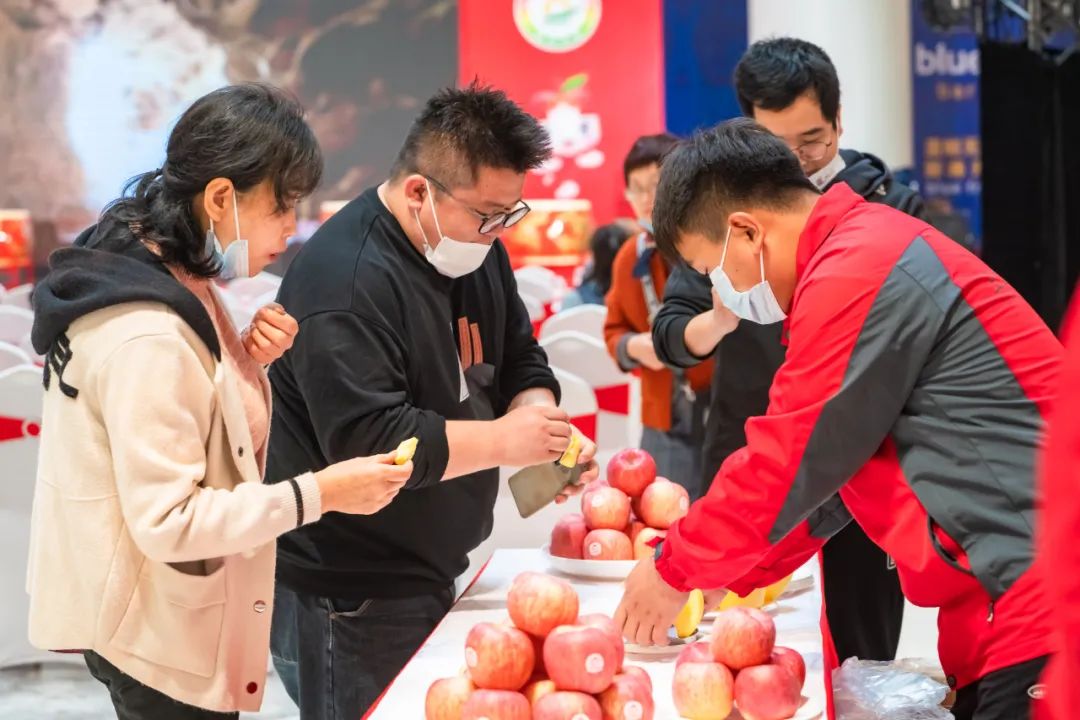 一起来看美丽的淀山湖,一起来看苏州京杭大运河