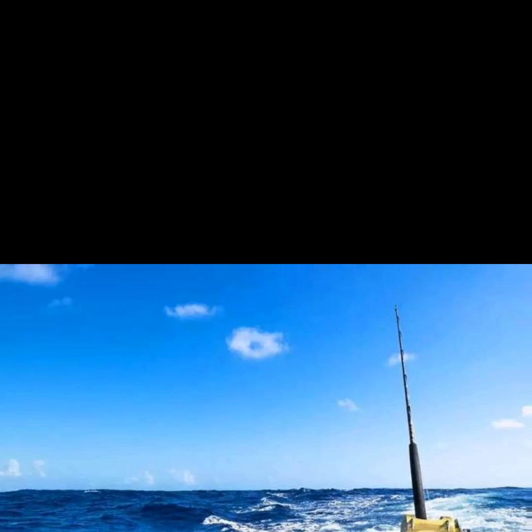 文科捡漏专业,高考一对一填报志愿专业分析