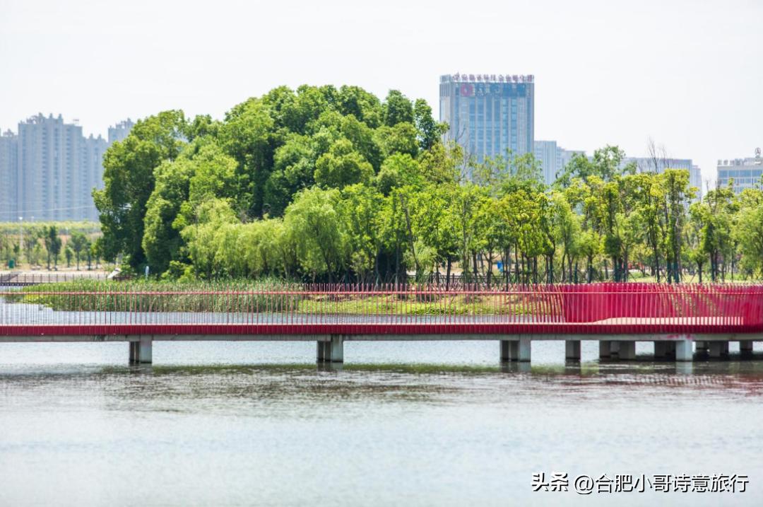 莺子朗诵《四季学林》作者：贺江平